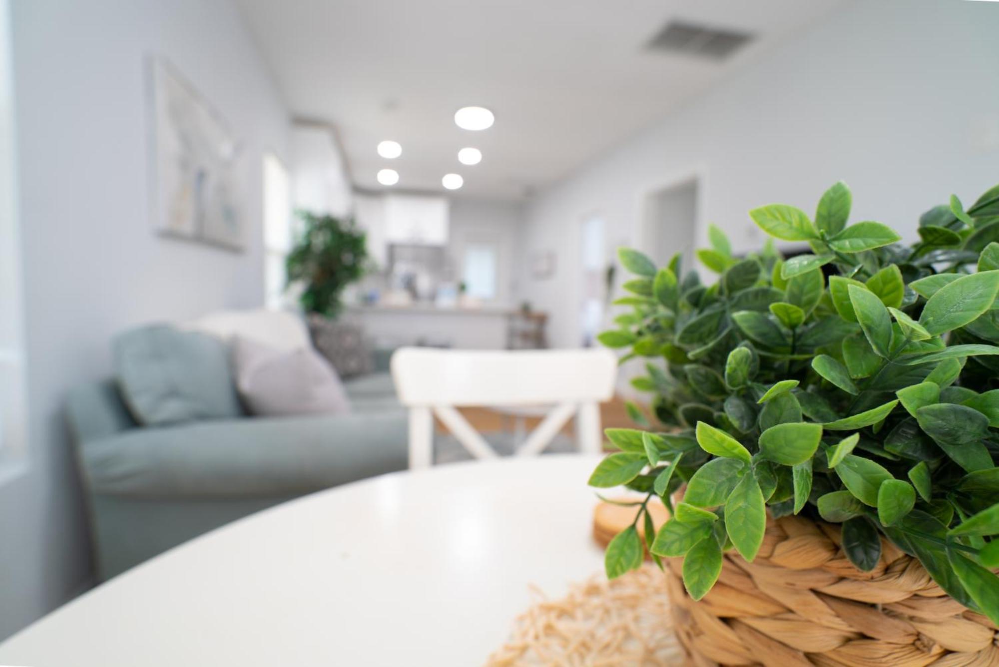 Cozy Stylish Chic Ybor, Dt Location * Tampa